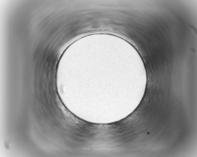 X0000100191534200806271607
