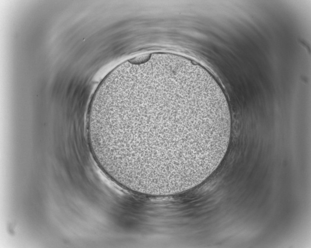 X0000100191535200806271607