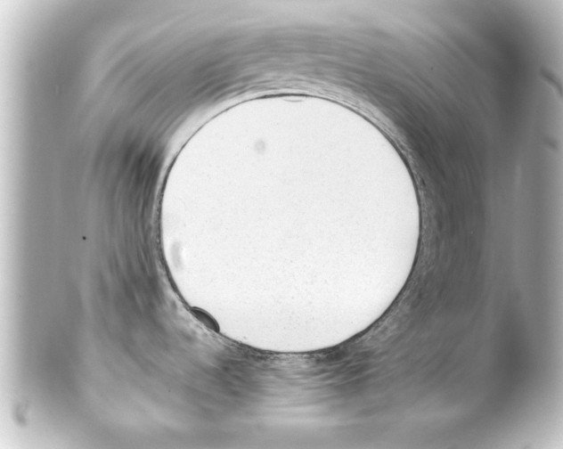 X0000100191536200806271607