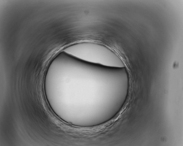 X0000100200001200805300757