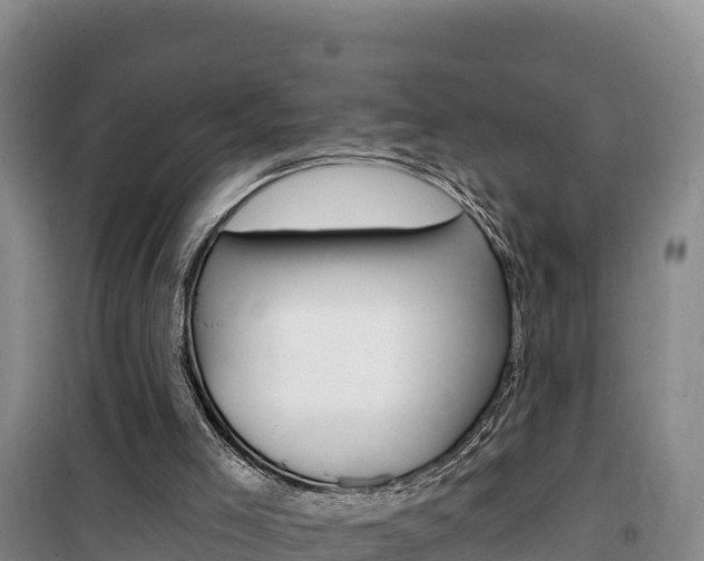 X0000100200005200805300757