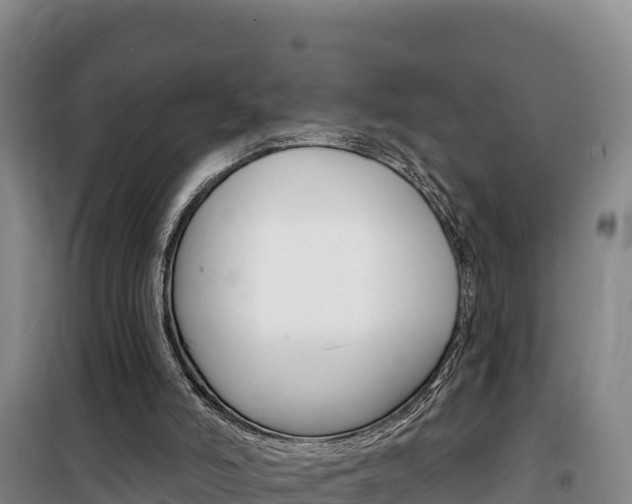 X0000100200006200805300757