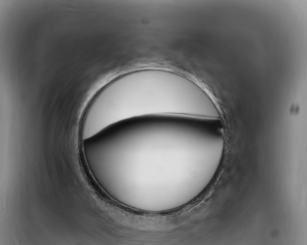 X0000100200008200805300757