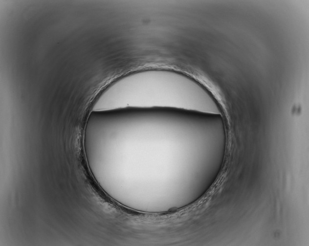 X0000100200009200805300757