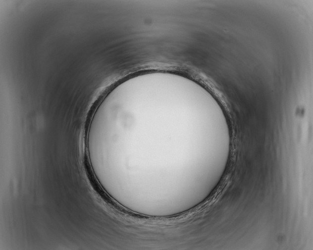 X0000100200011200805300757