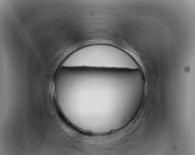 X0000100200013200805300757