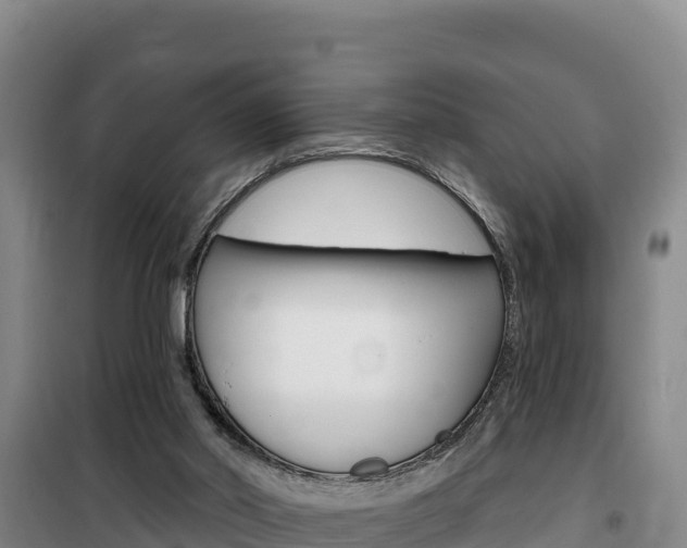 X0000100200014200805300757