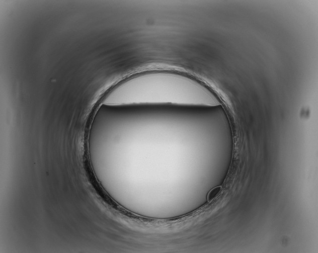 X0000100200015200805300757