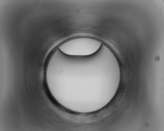 X0000100200016200805300757