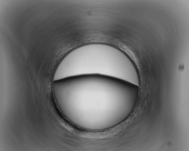 X0000100200017200805300757