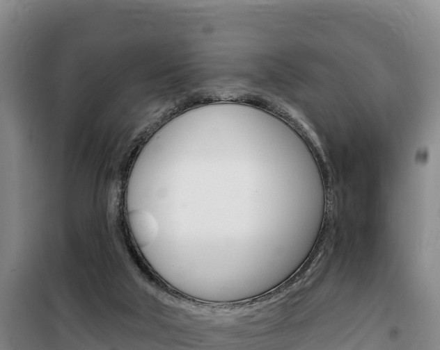 X0000100200018200805300757