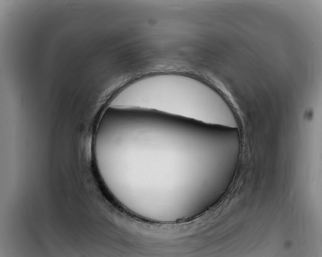 X0000100200019200805300757