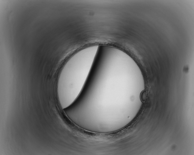 X0000100200020200805300757