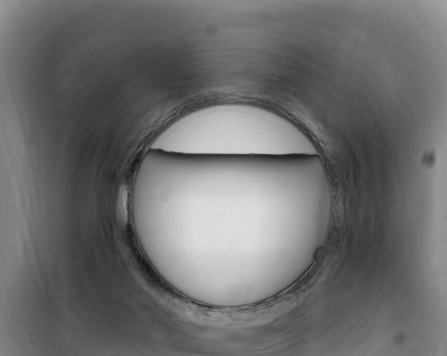 X0000100200022200805300757
