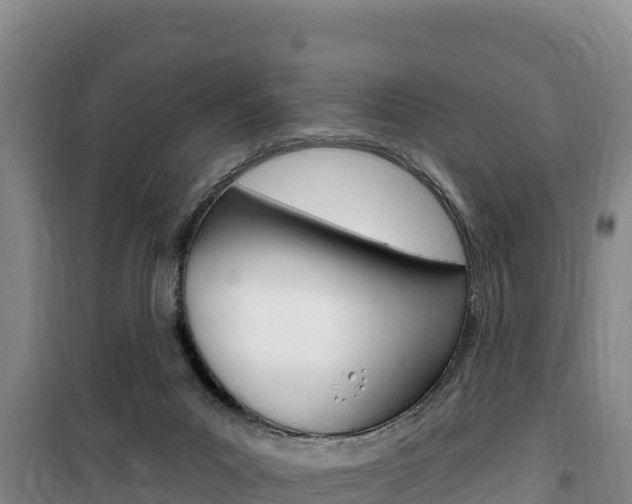 X0000100200023200805300757