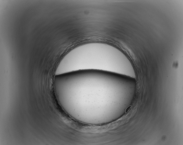 X0000100200025200805300757