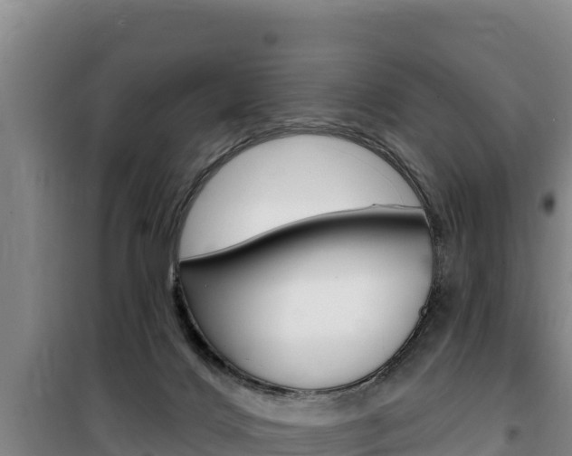 X0000100200028200805300757