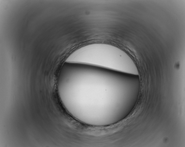 X0000100200029200805300757
