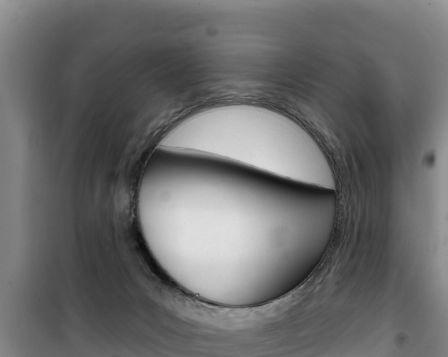 X0000100200031200805300757