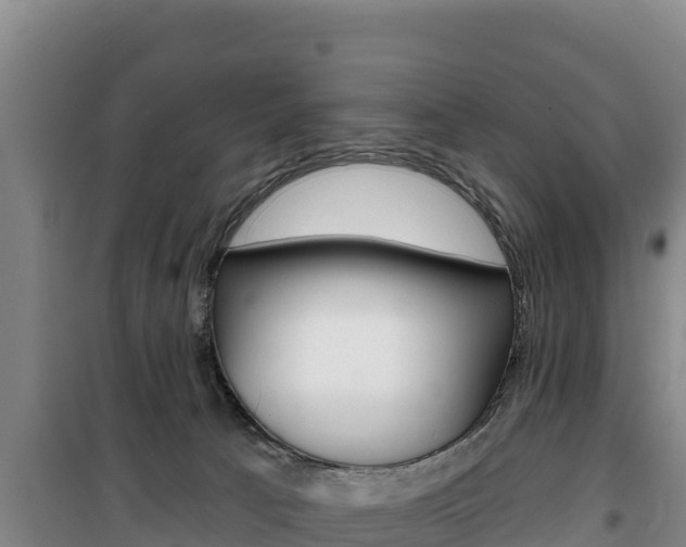 X0000100200033200805300757