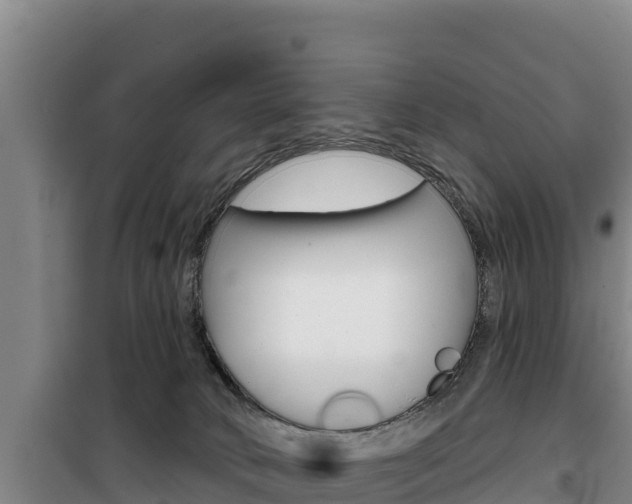 X0000100200034200805300757