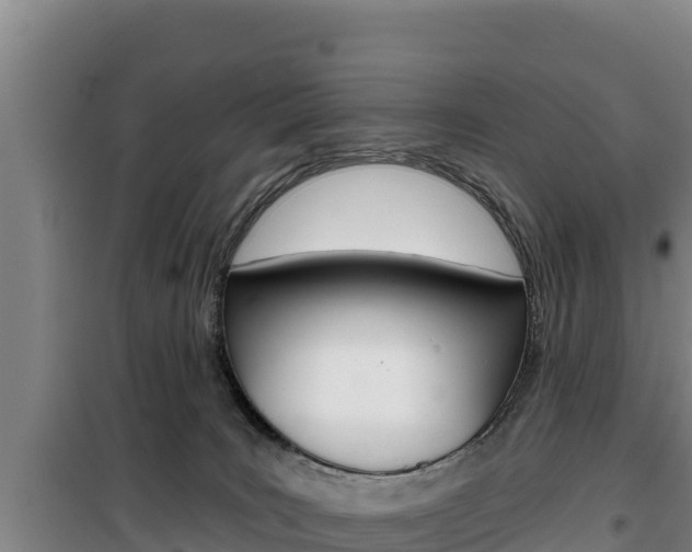 X0000100200035200805300757