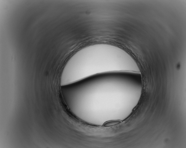 X0000100200036200805300757
