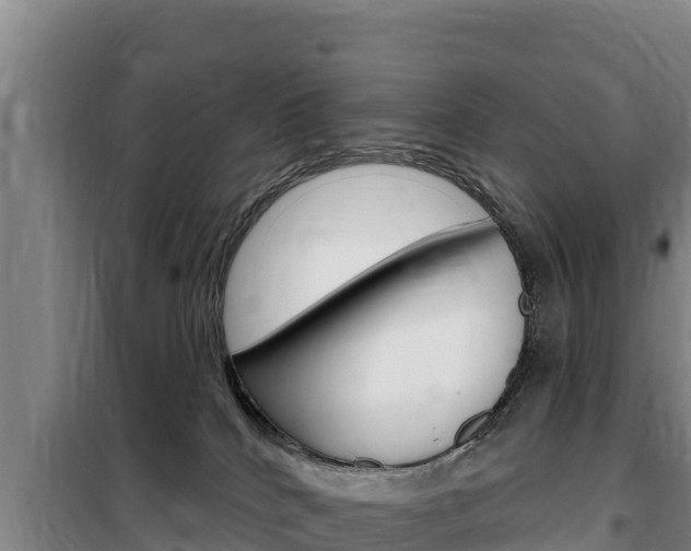 X0000100200040200805300756