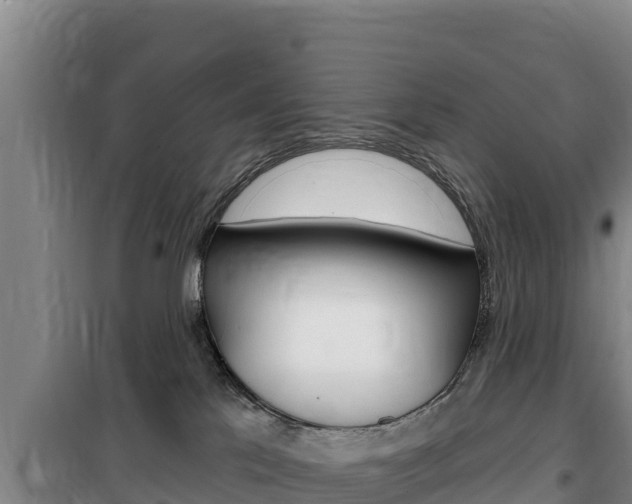 X0000100200041200805300756