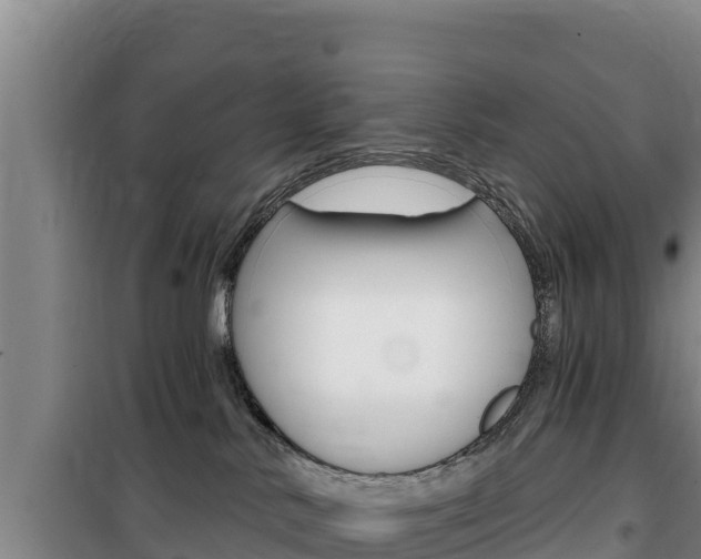 X0000100200042200805300756