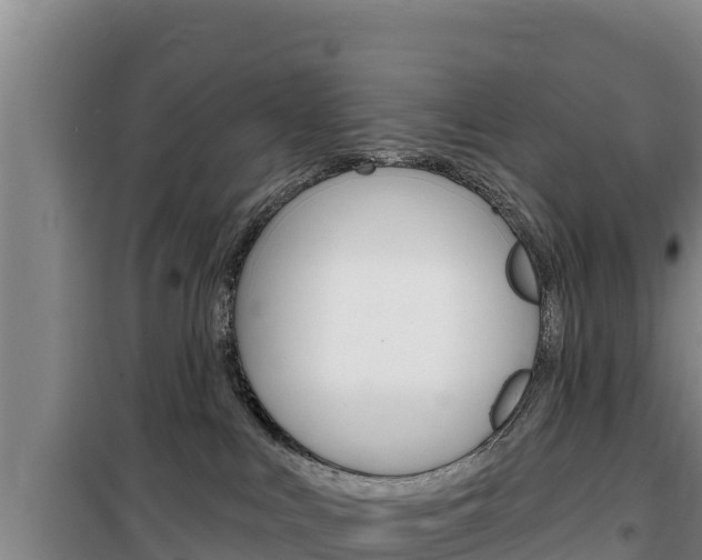 X0000100200043200805300756
