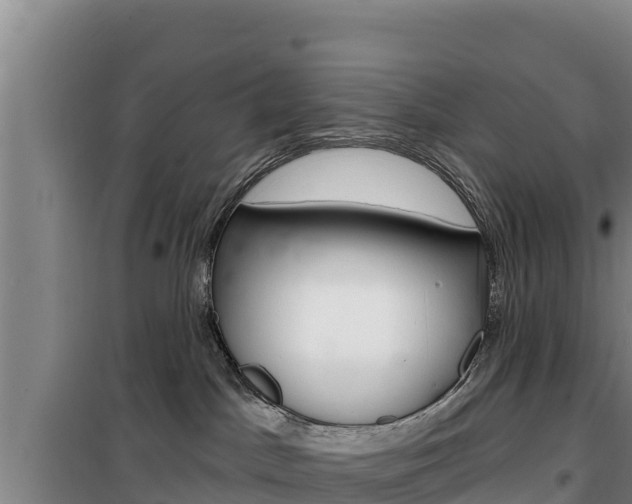 X0000100200045200805300756