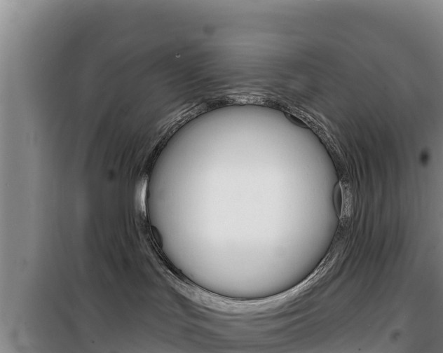 X0000100200047200805300756