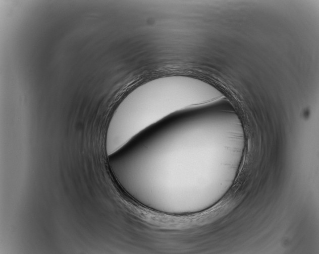 X0000100200048200805300756