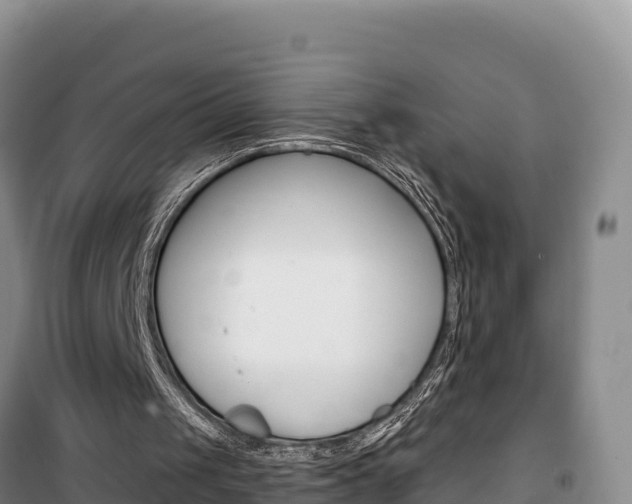 X0000100200049200805300756
