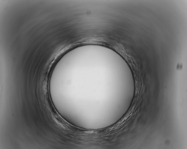 X0000100200050200805300756
