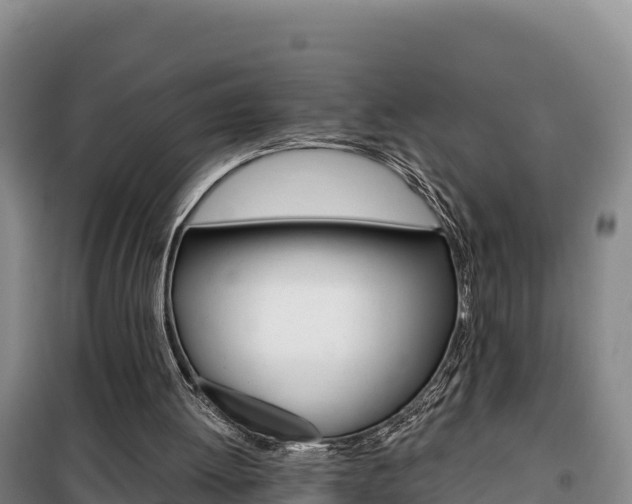 X0000100200052200805300756