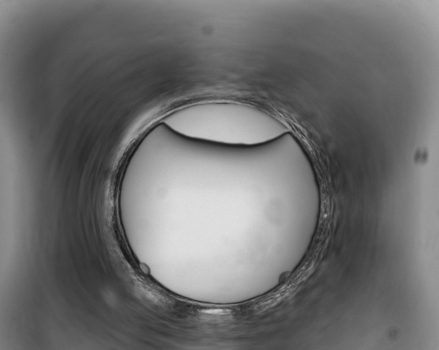 X0000100200053200805300756