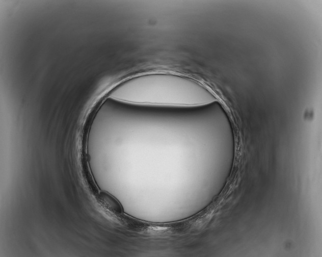 X0000100200055200805300756