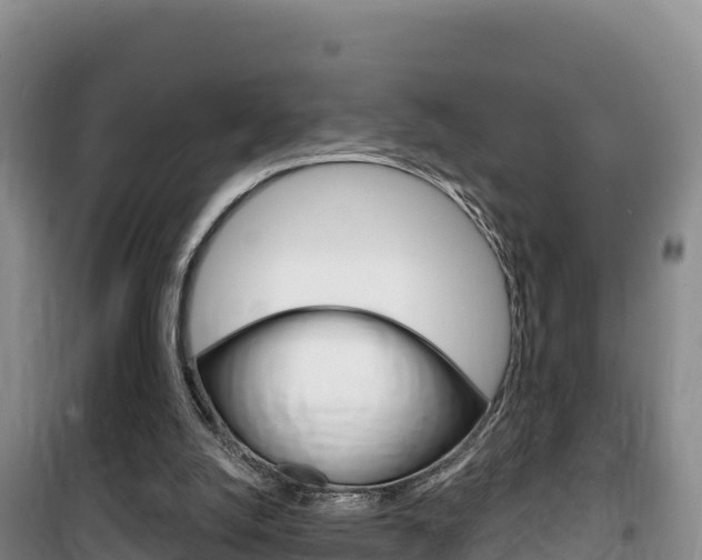 X0000100200056200805300756