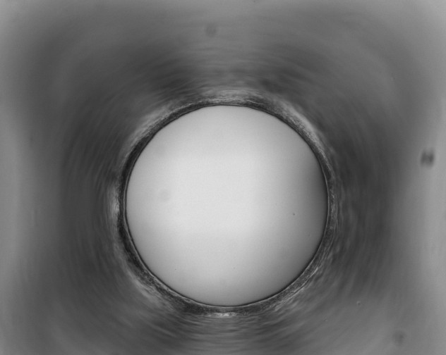 X0000100200059200805300756