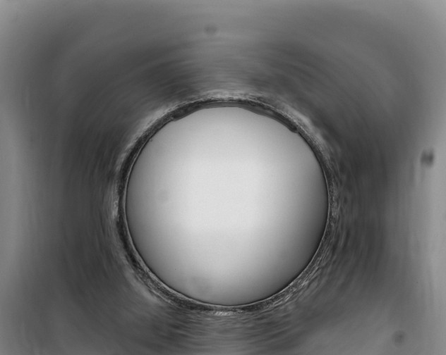 X0000100200060200805300756