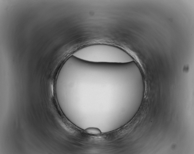 X0000100200061200805300756