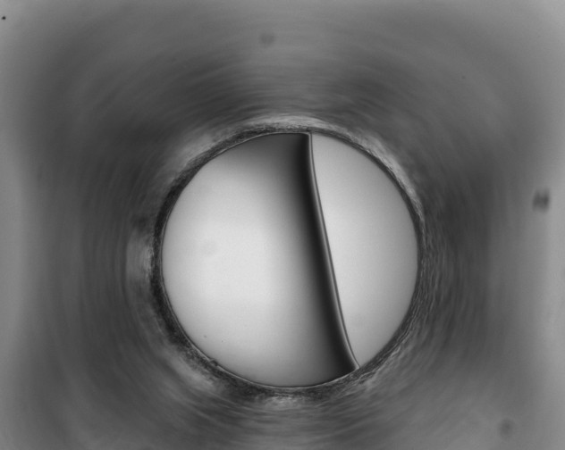 X0000100200063200805300756
