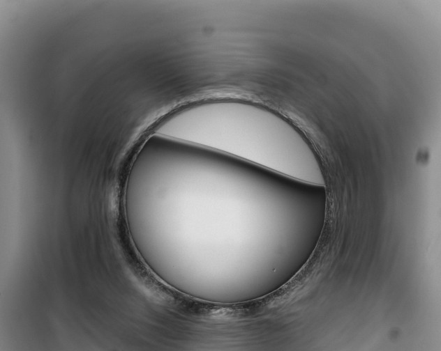 X0000100200064200805300756