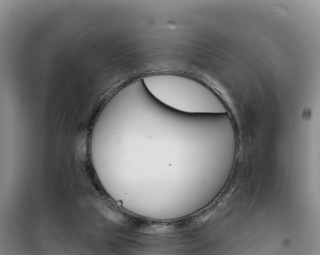 X0000100200065200805300756
