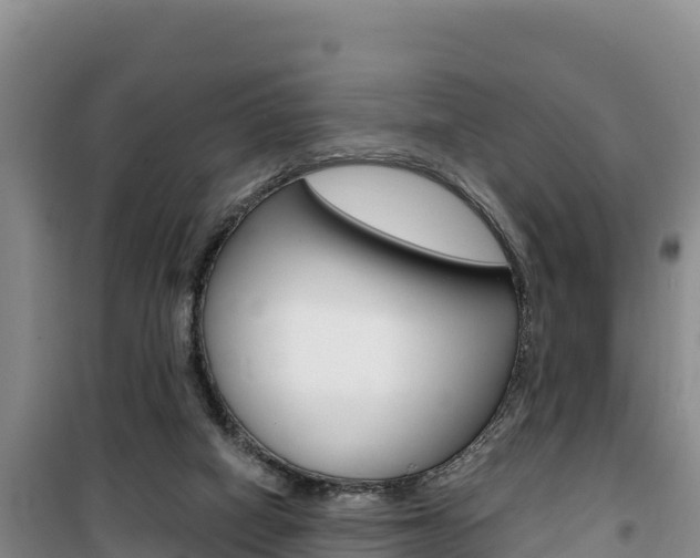 X0000100200066200805300756