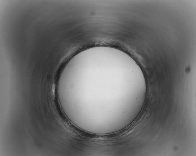 X0000100200067200805300756
