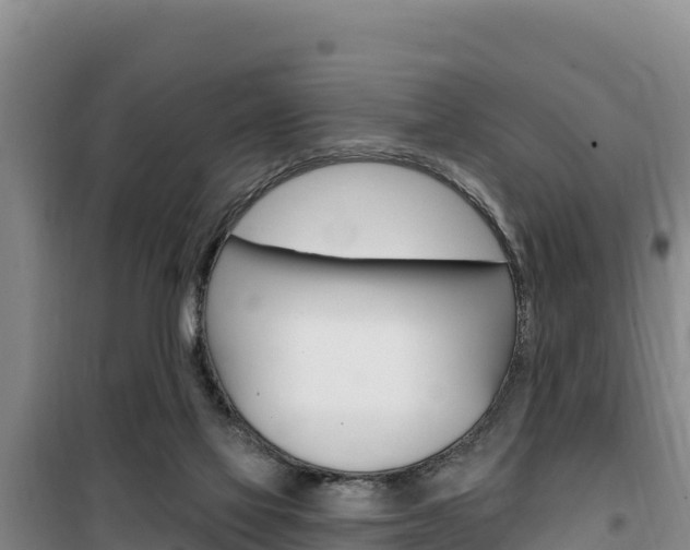 X0000100200069200805300756