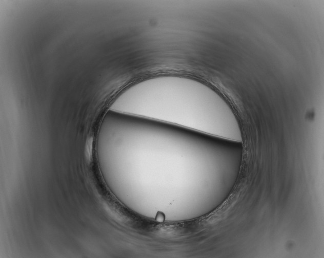 X0000100200070200805300756